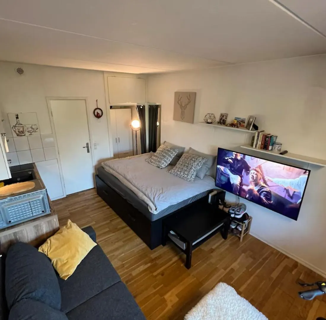 Cozy Studio Apartment - Cph Airport! Copenhagen